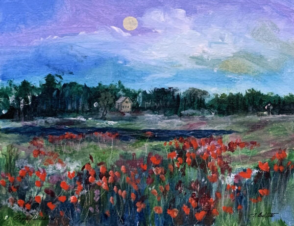 poppy dreams field landscape